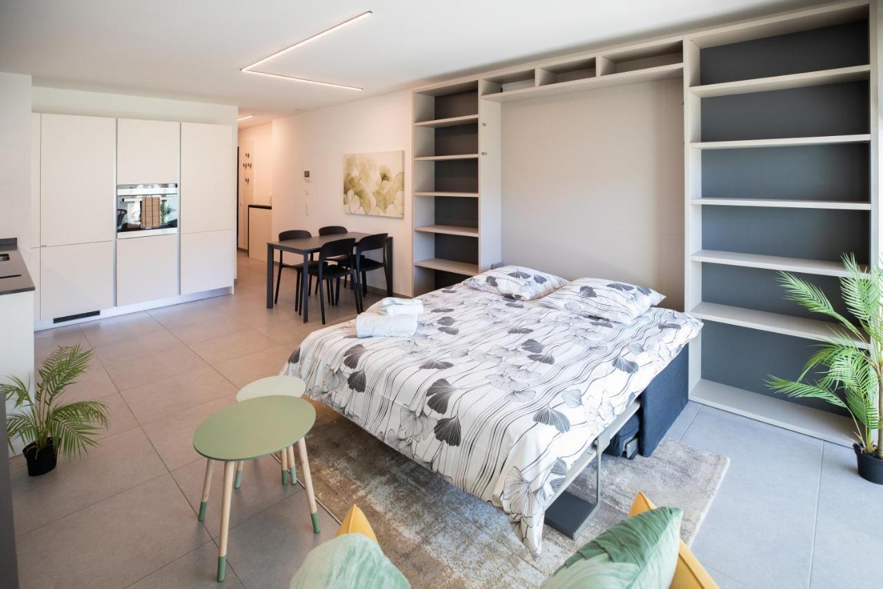 Residenza 5824 Apartment Белинцона Екстериор снимка